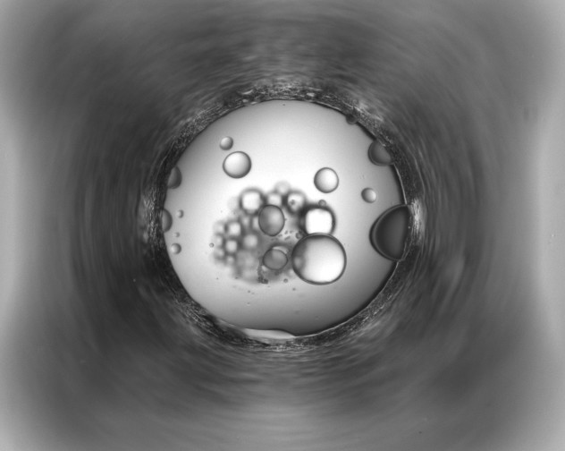 X0000086951203200704301210