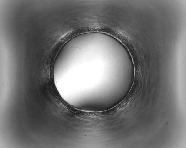 X0000086951205200704301210