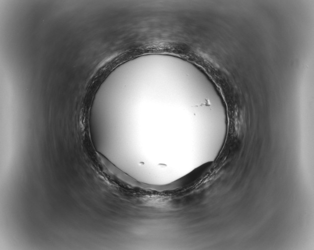 X0000086951206200704301210