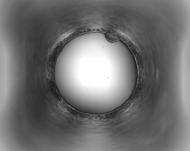 X0000086951207200704301210