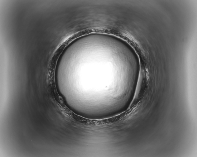 X0000086951208200704301210