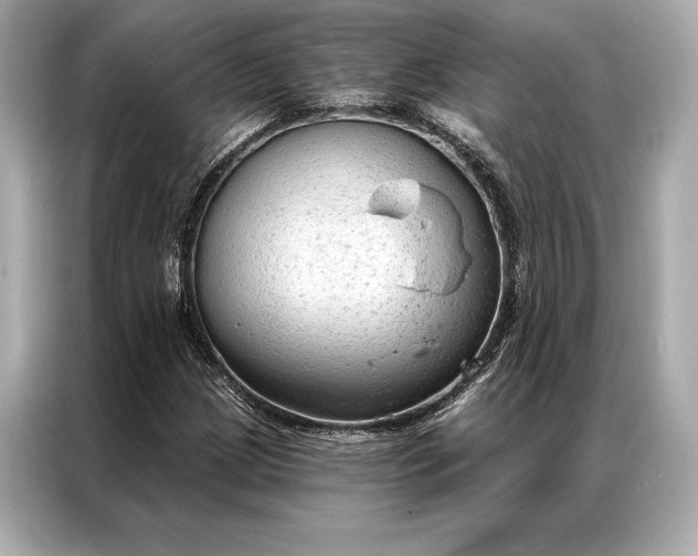 X0000086951209200704301210