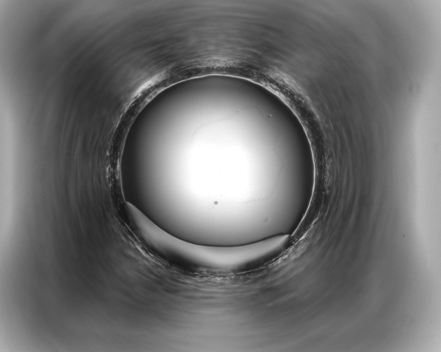 X0000086951210200704301210