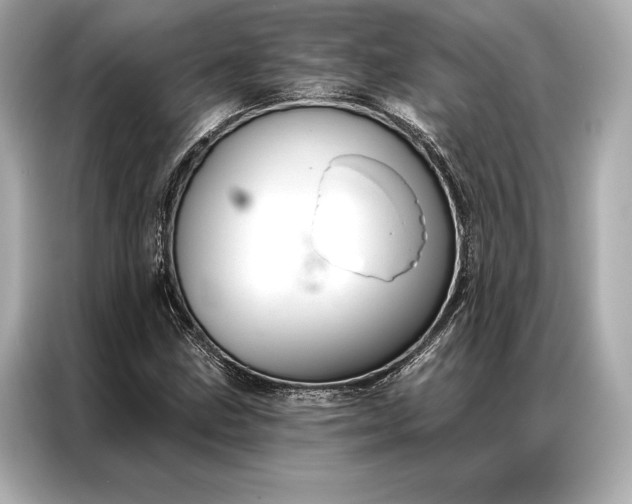 X0000086951211200704301211