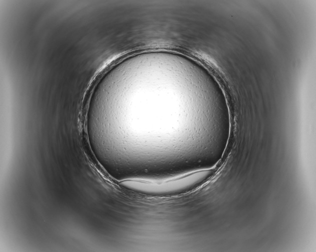 X0000086951212200704301211