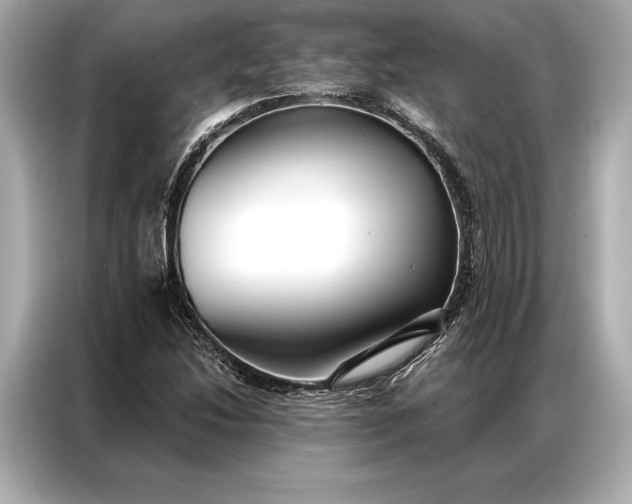 X0000086951214200704301211