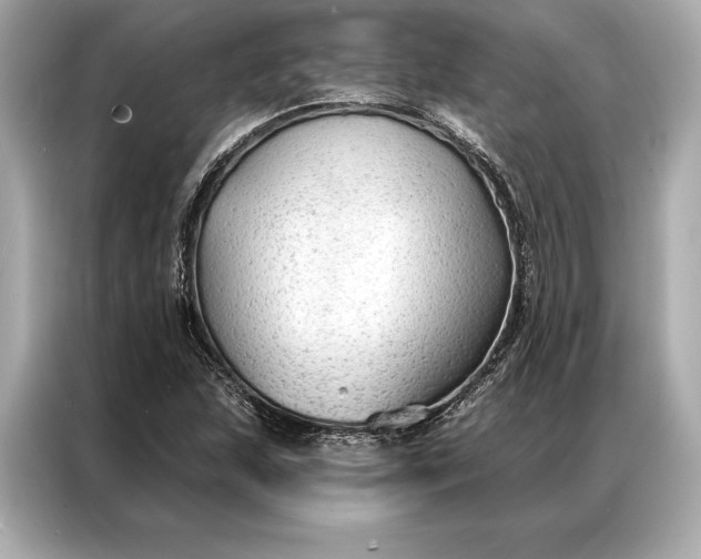 X0000086951215200704301211