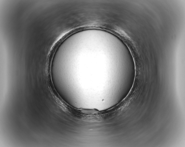 X0000086951216200704301211