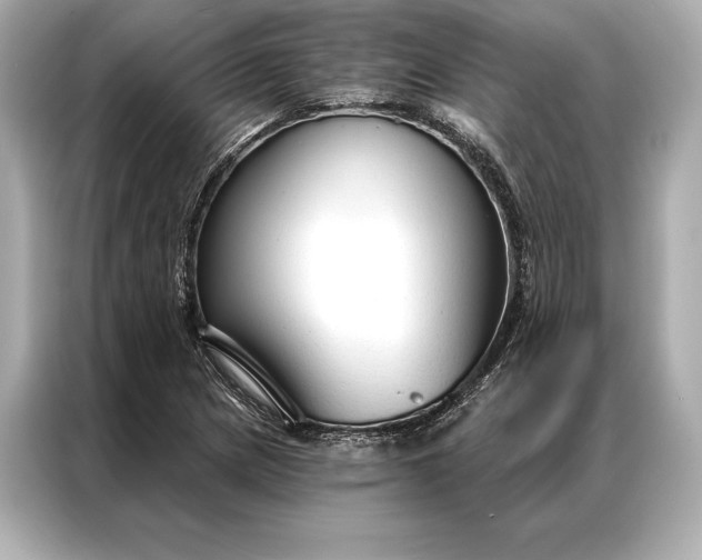 X0000086951217200704301211