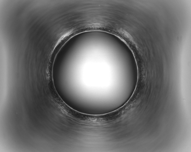 X0000086951218200704301211