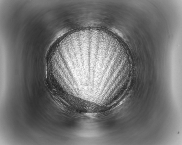 X0000086951219200704301211