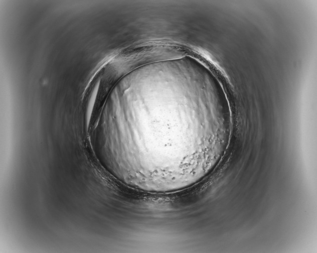 X0000086951221200704301211