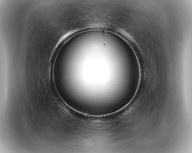 X0000086951222200704301211