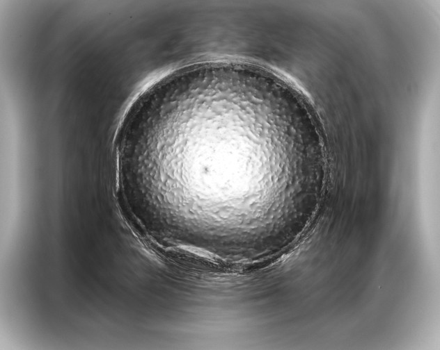 X0000086951223200704301211