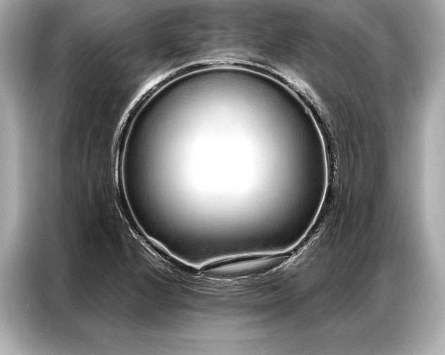 X0000086951224200704301211