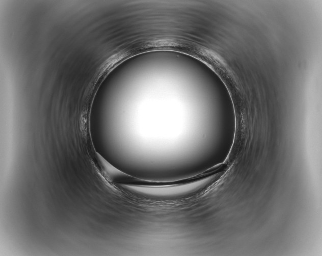 X0000086951225200704301211