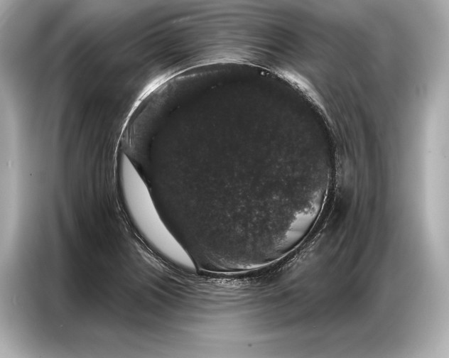 X0000086951226200704301211