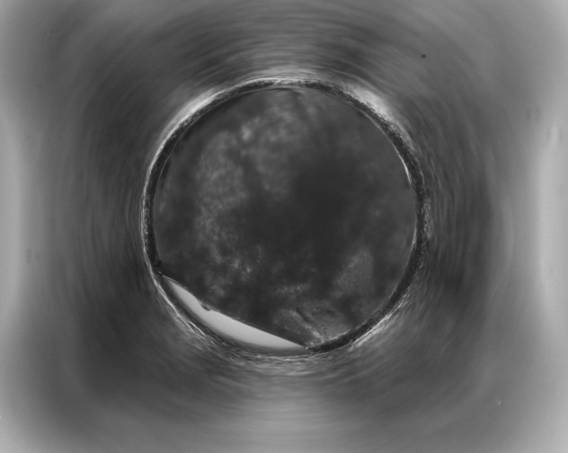 X0000086951229200704301211