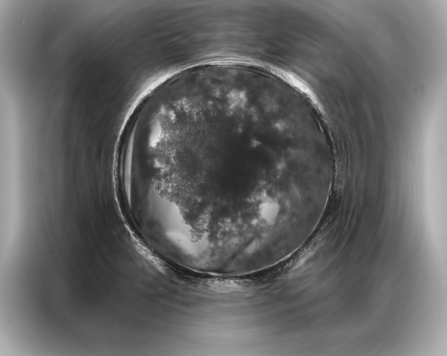 X0000086951231200704301211