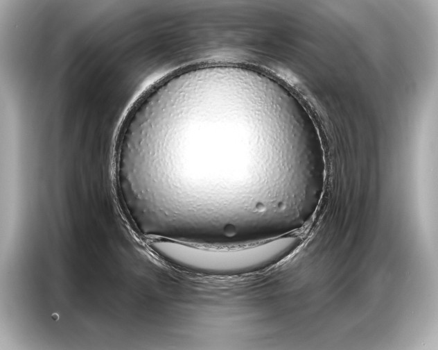 X0000086951232200704301211