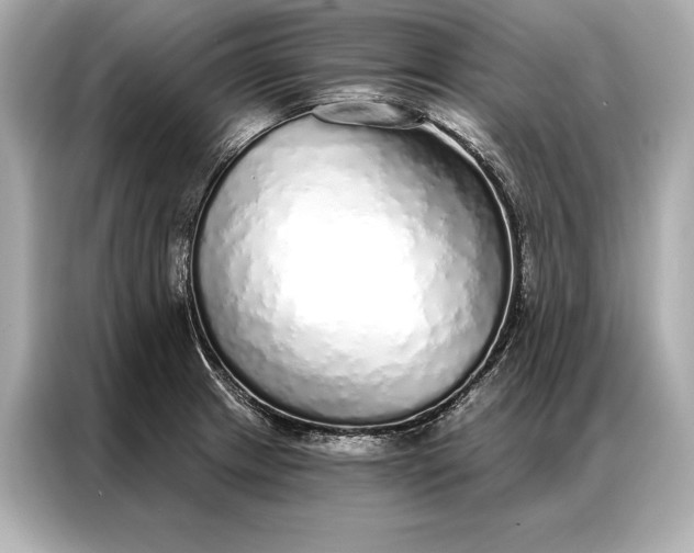 X0000086951233200704301211