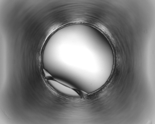 X0000086951234200704301211