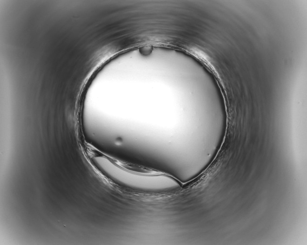 X0000086951235200704301211