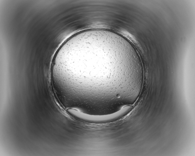 X0000086951236200704301211