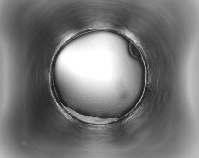 X0000086951237200704301211