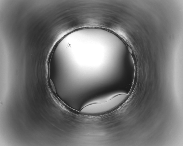 X0000086951238200704301211