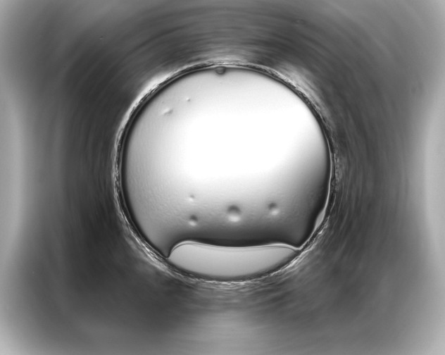 X0000086951240200704301211