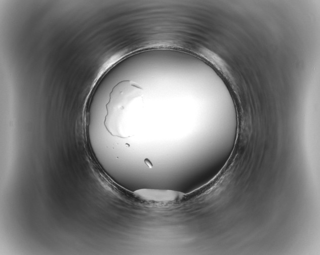 X0000086951242200704301211