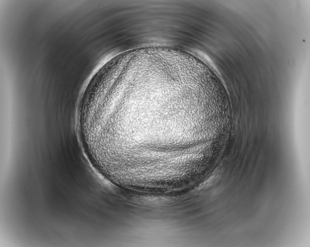 X0000086951243200704301211