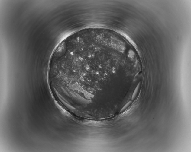 X0000086951245200704301211