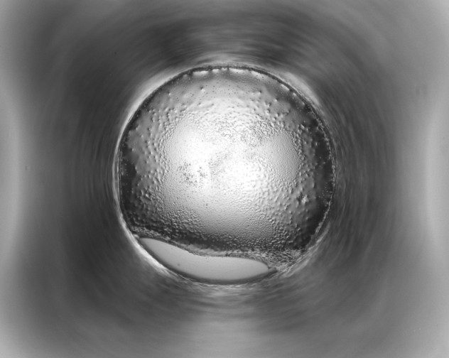 X0000086951247200704301211