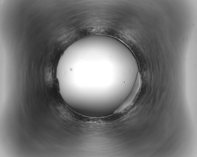 X0000086951250200704301210