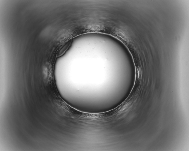 X0000086951251200704301210