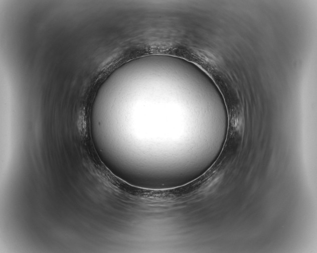 X0000086951252200704301210