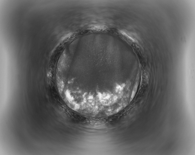 X0000086951254200704301210