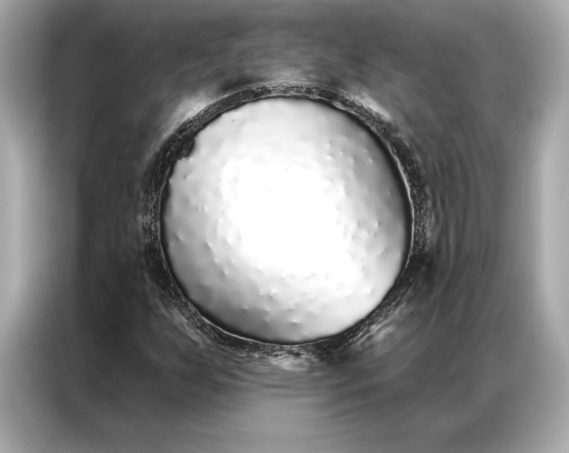 X0000086951255200704301210