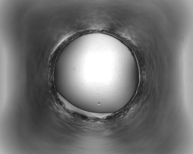 X0000086951256200704301210