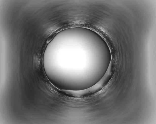 X0000086951257200704301210