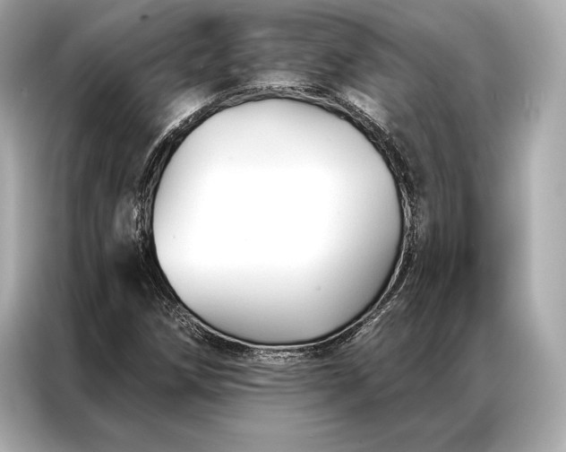 X0000086951258200704301210