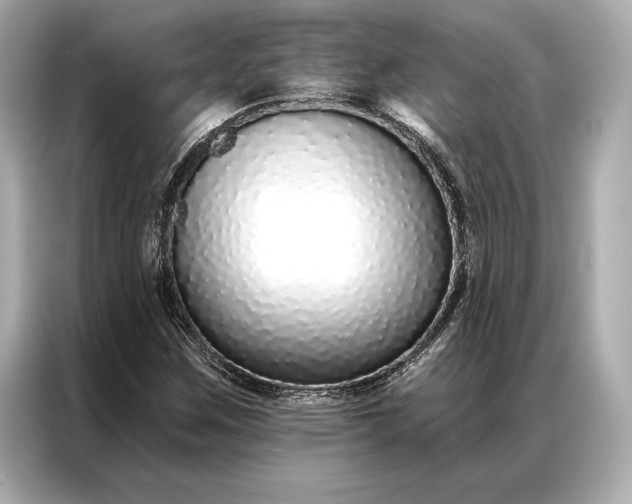 X0000086951259200704301210