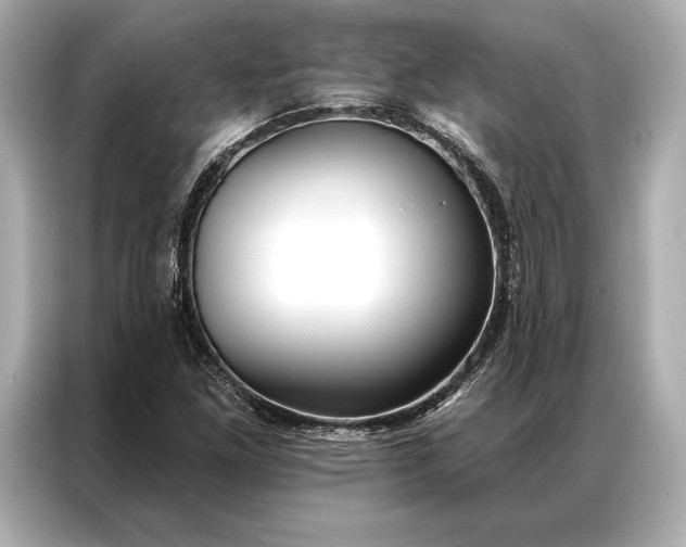 X0000086951261200704301210