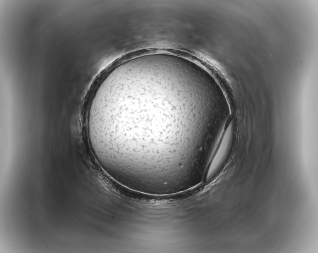 X0000086951264200704301210