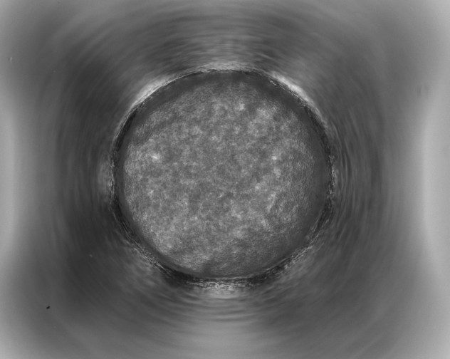 X0000086951266200704301210