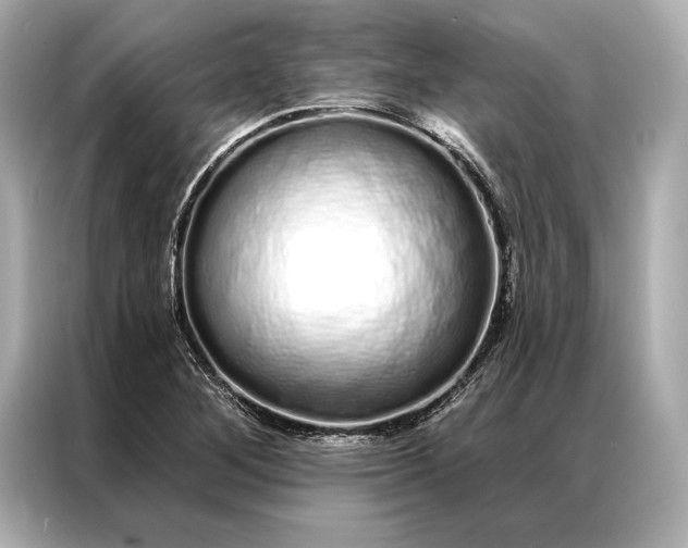 X0000086951268200704301210