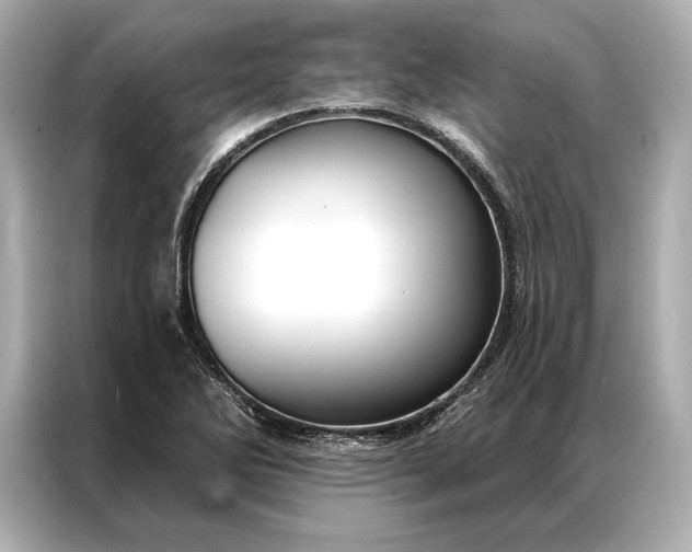 X0000086951270200704301210