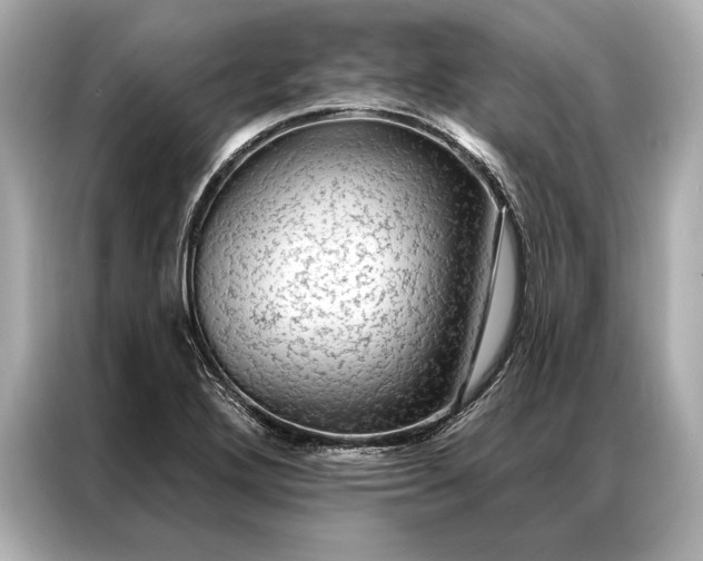 X0000086951272200704301210